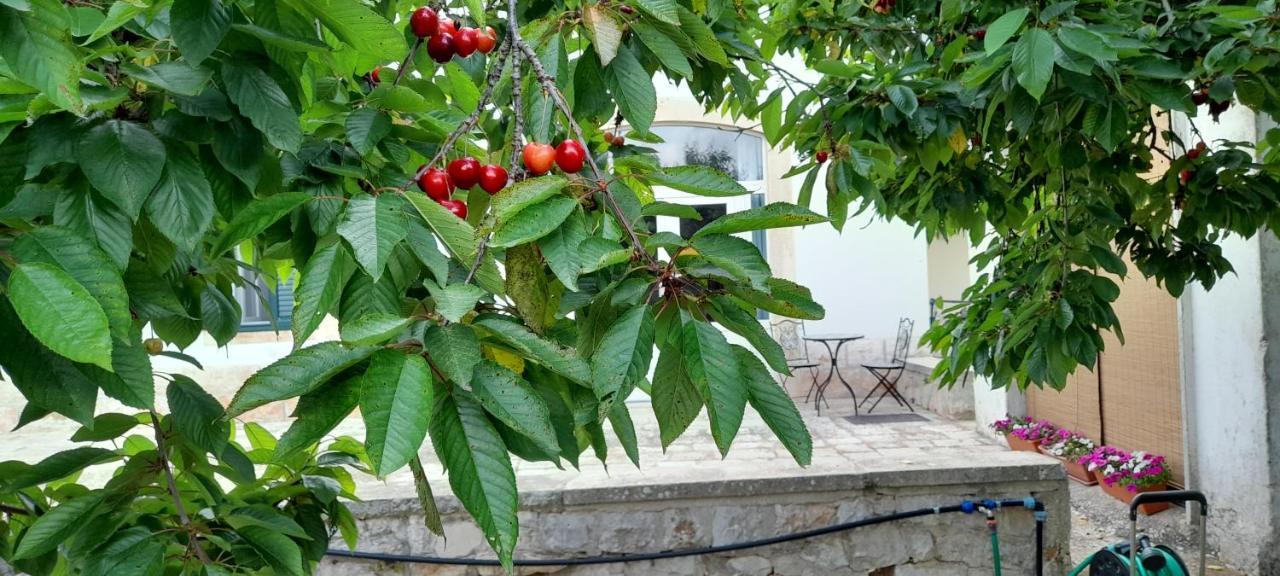 Apartmán Locazione Turistica San Giorgio Putignano Exteriér fotografie